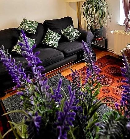 Bright Studio Close To Zaventem Airport Brüsszel Kültér fotó