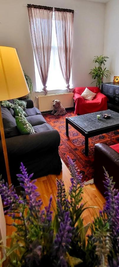 Bright Studio Close To Zaventem Airport Brüsszel Kültér fotó